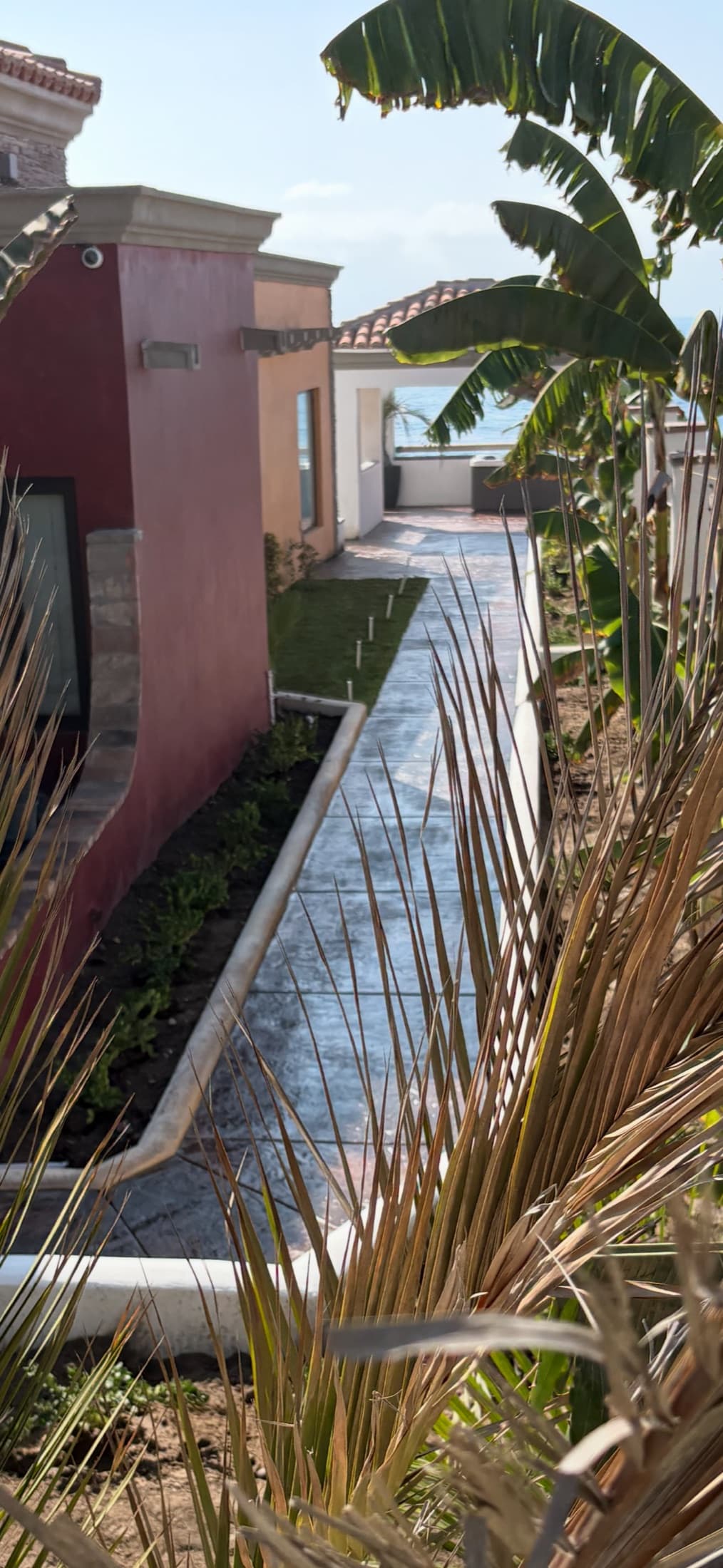 Garden path with ocean views