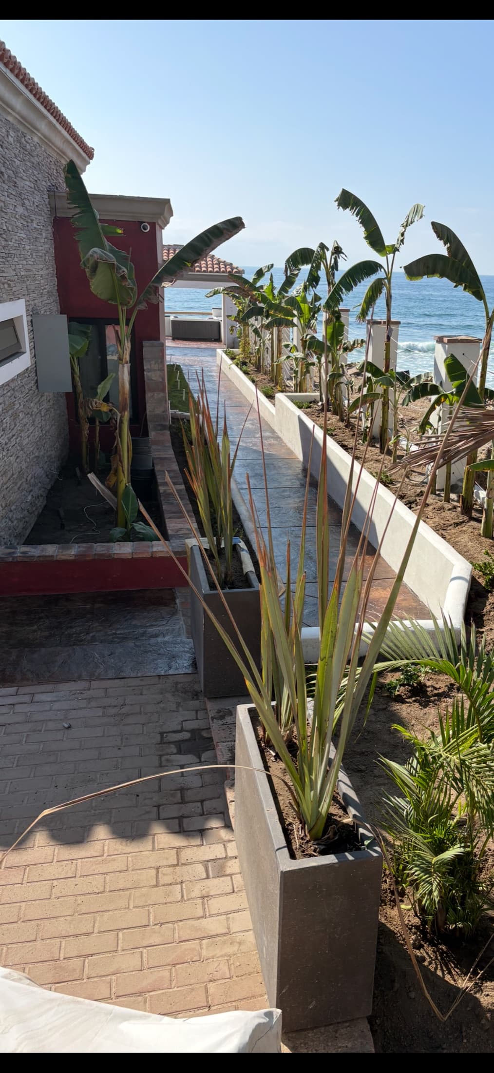 Landscaped garden pathway leading to the ocean